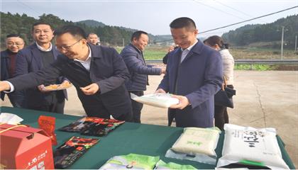 市委常委、政法委書記劉波濤帶隊調(diào)研指導定點幫扶村鄉(xiāng)村振興工作